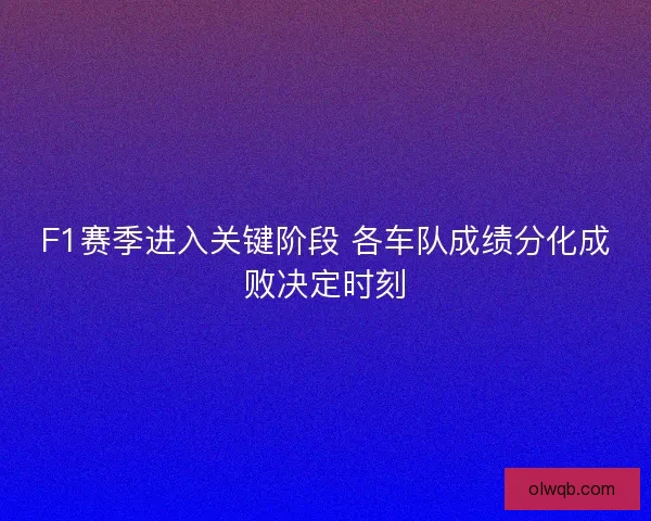 F1赛季进入关键阶段 各车队成绩分化成败决定时刻
